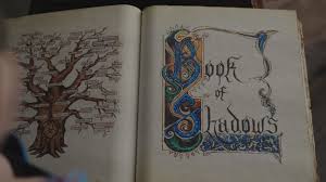 To lure and destroy a succubus… instructions: How To Make The Book Of Shadows From Charmed Laskoom