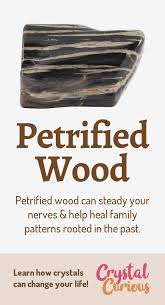 Petrified Wood Healing Properties Benefits Petrified Wood Meaning Petrified Wood Crystal Healing Stones