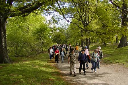 Emerald Necklace Walking Tour