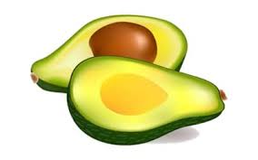 Clipart Buah Alpukat Png Alpukat Buah Gambar