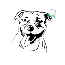 Pin On Animal