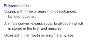 macromolecules chart notes ppt download