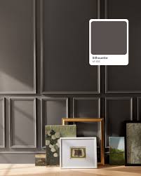 Discover the Timeless Beauty of Silhouette AF-655, Benjamin Moore's Color  of the Year 2026