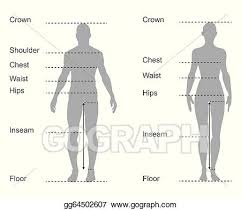 Anatomytools.com provides highly detailed male and female anatomical reference models, artist busts, instructional dvds, armatures and workshops used by fx artists, 3d artists, medical professionals and sculptors. Eps Vector Size Chart Measurement Diagram Of Male And Female Body Measurements For Clothing Stock Clipart Illustration Gg64502607 Gograph