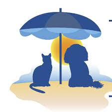 Surf city pet hospital, huntington beach, ca. Huntington Beach Pet Hospital Hbpethospital Twitter