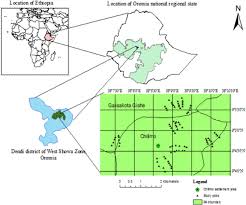 Berikut adalah tarikh gaji penjawat awam 2021 seluruh negeri berdasarkan surat pekeliling akauntan negara malaysia (spanm) bil 5 tahun 2020. Impact Of Changes In Land Use Species And Elevation On Soil Organic Carbon And Total Nitrogen In Ethiopian Central Highlands Sciencedirect