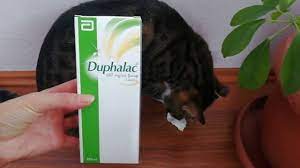 duphalac surup kabiz olan kediler ve kopekler icin surup youtube