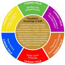 They want to know how things work. Career Wheel Bridges Career Academies Workplace Connection