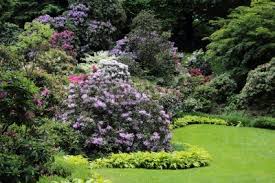 Dank dieser funksteuerung entscheidet ihr, wann alle lichter in eurem garten leuchten dürfen. Schone Rhododendron Blume Busche Und Baume In Einem Garten Landschaft Fototapete Fototapeten Azalee Parklandschaft Rhododendron Myloview De