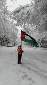  75 Ide Wallpaper Palestina Gambar Bendera Seni Islamis
