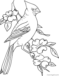Download this adorable dog printable to delight your child. Cardinal Coloring Pages Coloringall