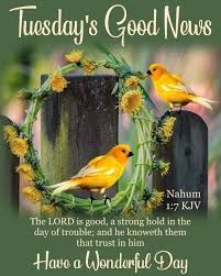 Pin By Tony Stak On English Tuesday Quotes Good Morning Tuesday Quotes The Lord Is Good