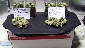 Deciding between led grow lights vs hps is something that many indoor gardening aficionados may find themselves facing. Led Vs Hps Grow Lights A Quick Guide To Making The Right Choice