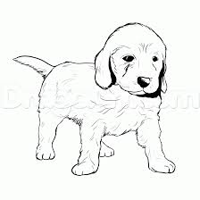 How To Draw A Labradoodle Step 3 1 000000151575 5 Gif 2550 2550 Dog Coloring Page Golden Retriever Drawing Puppy Coloring Pages