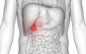 6 Gallstone Symptoms You Should Know About Women S Health
