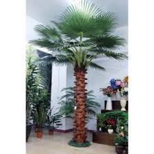 We did not find results for: China Artificial Palm Tree Fake Coconut Tree Washington Palm Tree China Artificial Palm Tree And Fake Palm Tree Price