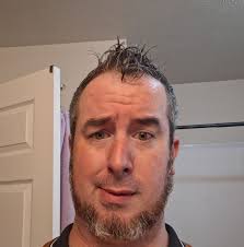 Is the Land series worth buying during the Audible sale?