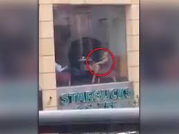 Maybe you would like to learn more about one of these? Explicit Vid Woman Caught Performing Solo Sex Act For Her Partner In Coffee Shop Window Daily Star