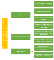 Libros de texto gratuitos del cuarto grado de primaria del ciclo escolar 2019 2020 material educativo. Realizar Una Entrevista Para Ampliar Informacion Ayuda Para Tu Tarea De Espanol Sep Primaria Cuarto Respuestas Y Explicaciones