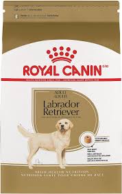 Royal Canin Labrador Retriever Adult Dry Dog Food 30 Lb Bag