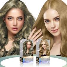 Permanent Hair Ammonia Free Hair Dye Color Kit Permanent Hair Color for Man  and Women Green Ash Brown Color