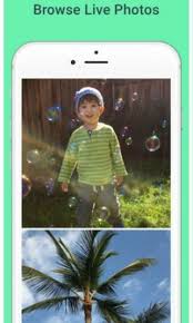 Google S New Iphone App Will Fix Your Blurry Live Photos Iphone Apps Live Photo New Iphone