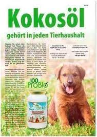 kokosol gehort in jeden tierhaushalt hunde kokosol fur hunde hunde ernahrung