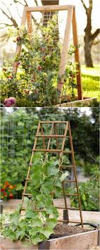 24 Easy Diy Garden Trellis Ideas Plant Structures A Piece Of Rainbow Diy Garden Trellis Vegetable Garden Wood Trellis