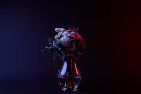 We did not find results for: Bouquet Of White Flowers In Glass Vase On Dark Free Stock Photo And Image