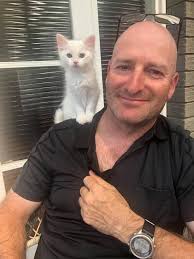 Introducing new kitten Archer, named after Taylor Swift inspiration