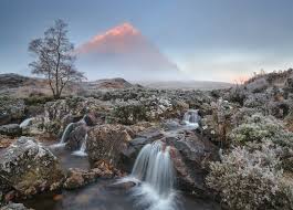 The flora of scotland is an assemblage of native plant species including over 1,600 vascular plants, more than 1,500 lichens and nearly 1,000 bryophytes.the total number of vascular species is low by world standard but lichens and bryophytes are abundant and the latter form a population of global importance. 11 Fantastische Fotos Von Schottland Im Winter Visitscotland