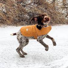 1 678 Likes 35 Comments Tractor Supply Co Tractorsupply On Instagram Frankieinthewild Is Jumping For Joy We Ve Got Carh Pets Terrier Boston Terrier