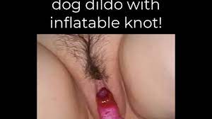 Dog knotted in wife