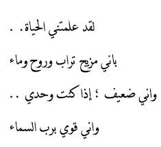 Pin By Nada Nasser On Verses أبيات Islamic Quotes Quran Quotes Some Words
