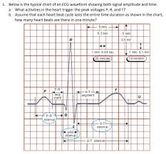 1 Below Is The Typical Chart Of An Ecg Waveform S