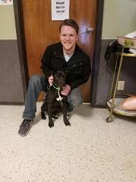 Our shelter pets are always grateful for your. Puppy Wakes Up After Being Euthanized At Crowded Shelter Gets Second Chance At Life