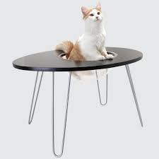 Pin On Pet Love