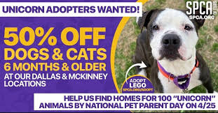 Fees include spay/neuter surgery and first vaccinations. 1c3zfapxkuguxm