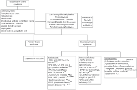 Evans Syndrome Clinical Perspectives Biological Insights And Treatme Jbm