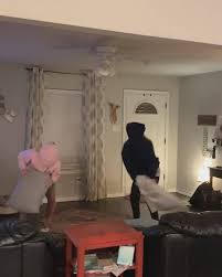 Pillow fights are often used to display and highlight innocence, immaturity, and child mischief. Ladbible Couple Have Dizzy Blindfolded Pillow Fight Facebook