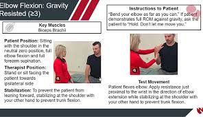 Image result for Elbow Extension Test