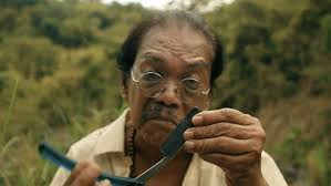 Amazon.com: Death of Nintendo [Blu-ray] : Raya Martin, Agot Isidro,  Angelina Canapi, Cayden Williams, Elijah Alejo: Movies & TV