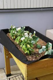 vegtrug ベジトラグ 植栽 おしゃれまとめの人気アイデア pinterest ito shigeko 家庭菜園 プランター 家庭園芸 プランター 菜園