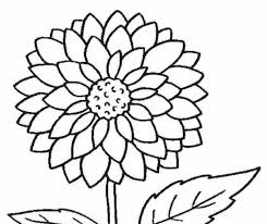 Petunia hitam bisa ditanam di bawah sinar matahari langsung dan bunganya bisa mekar selama 10 minggu. Mewarnai Gambar Bunga Matahari Hitam Putih Download Kumpulan Gambar