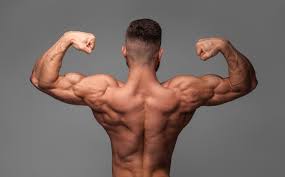 How Long Will Anabolic Steroids Stay In Your System