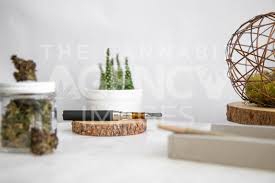 Cactus fruit is rich in betanin, polyphenols and other potent antioxidants that support liver health, protect against heart disease and reduce her mission is to help people live healthier lives by making smarter food choices and staying active. Products On Wooden Tray Flower And Cactus Pen In Focus Cannabis Royalty Free Stock Images