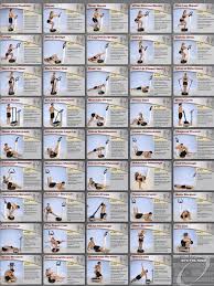 Digoin Power Plate Workout Workout Chart Whole Body Vibration
