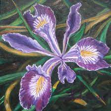 Wild Iris Oil On Canvas 30 X 30 Cm With Images Flower Artwork Iris Flowers Artwork