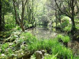 Other local effects, such as soil moisture/temperature and stage of vegetation greenness are factors that can affect the possibility of frost forming. Inland River Valley Route Hidden Galicia