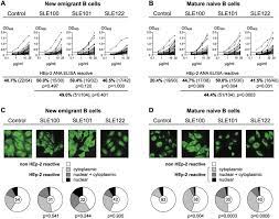 Hep 2 Elisa And Immunofluorescence Hep 2 Ana Elisa Results For Download Scientific Diagram